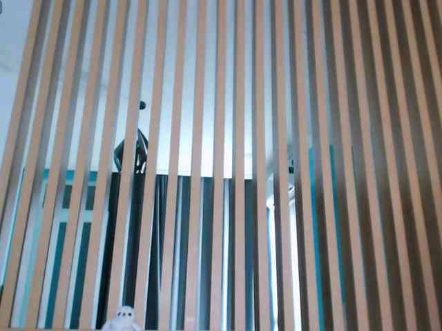 Pizda-Drozda webcam