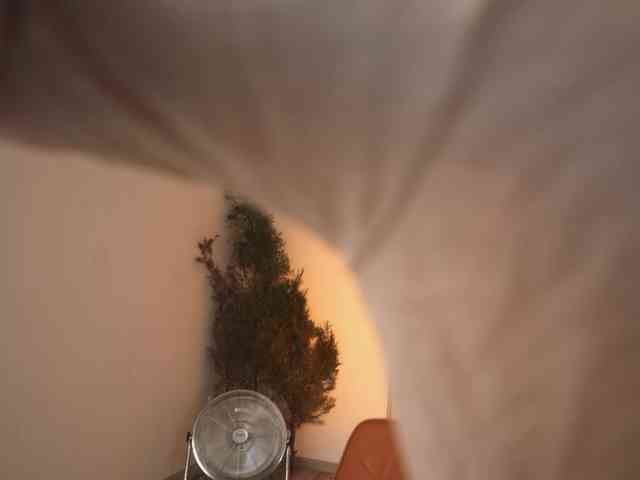 valeriaraw webcam