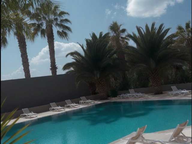 DUMBHOEMELANIE live cam on BongaCams