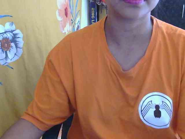 LinDan webcam
