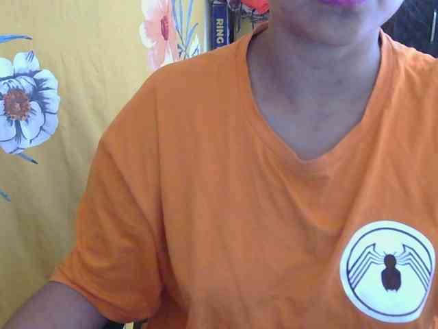 LinDan webcam