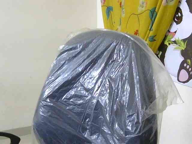 LinDan webcam