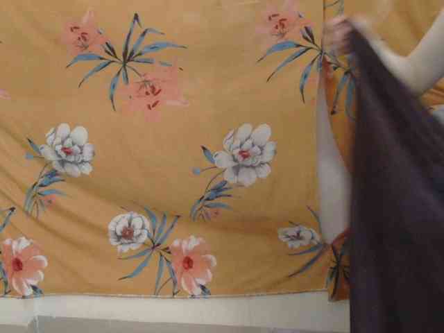 LinDan webcam