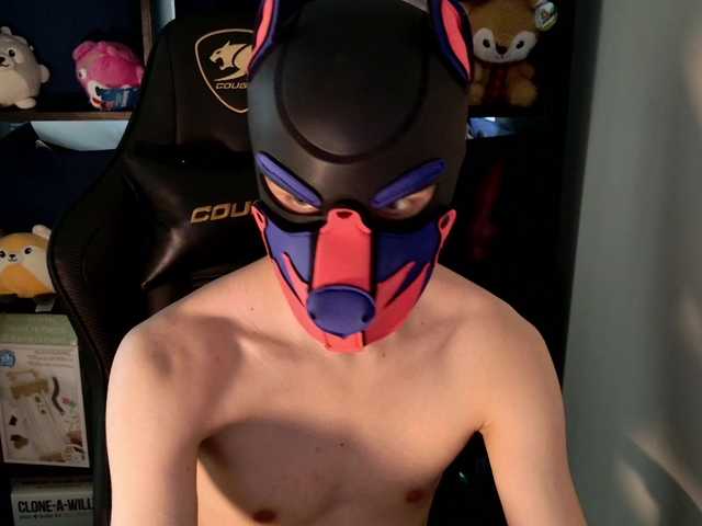 Mellpupp