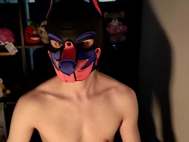 mellpupp