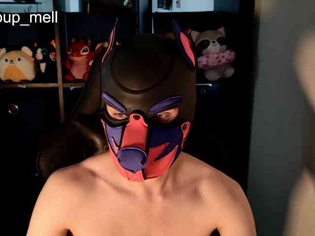 mellpupp mellpupp