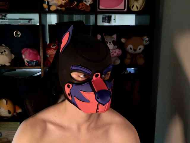 mellpupp