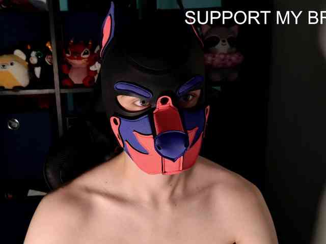 mellpupp