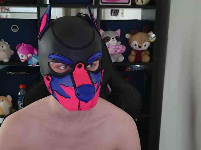 mellpupp