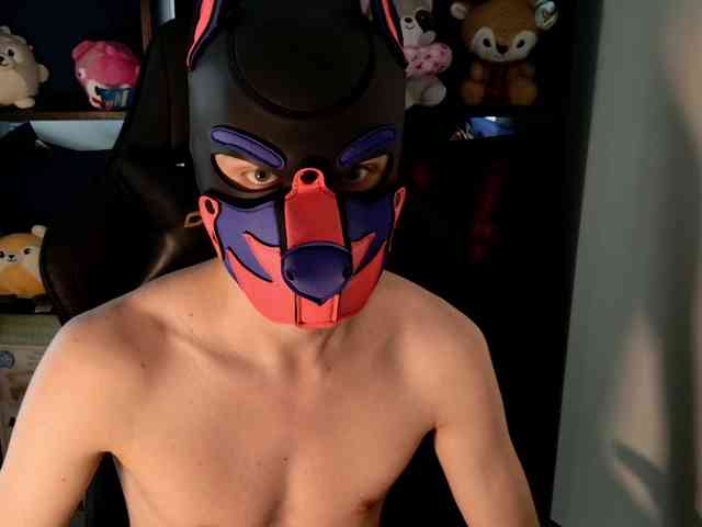 mellpupp