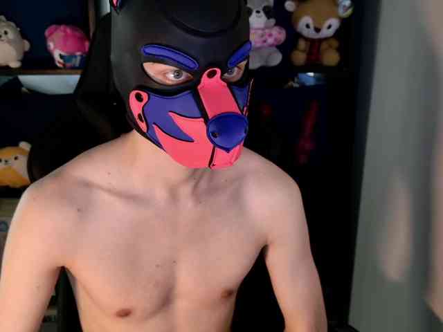 mellpupp