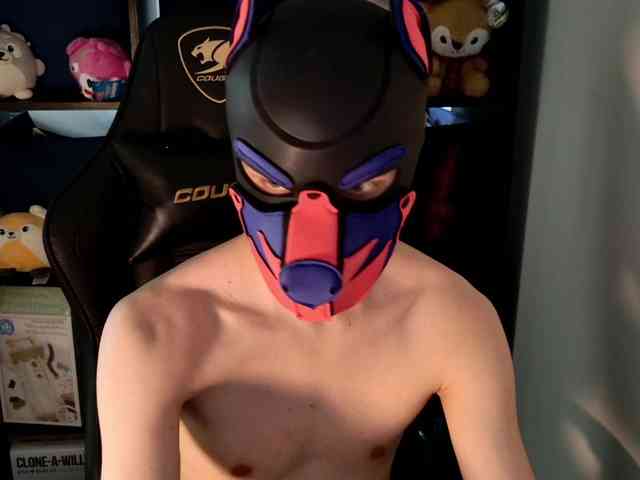 mellpupp