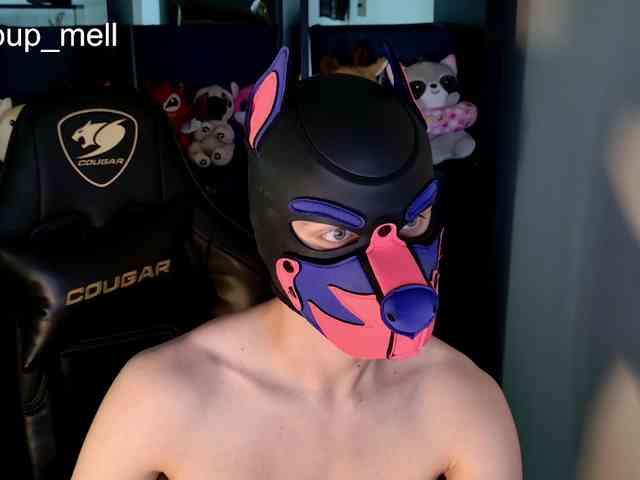mellpupp Live Webcam on BongaCams