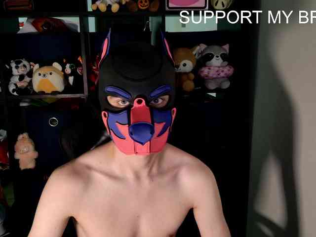 mellpupp