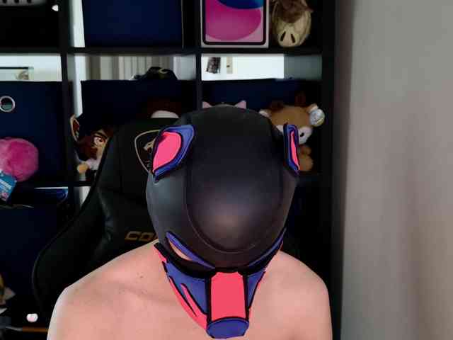 mellpupp mellpupp