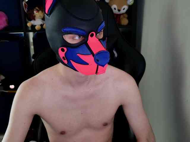 mellpupp