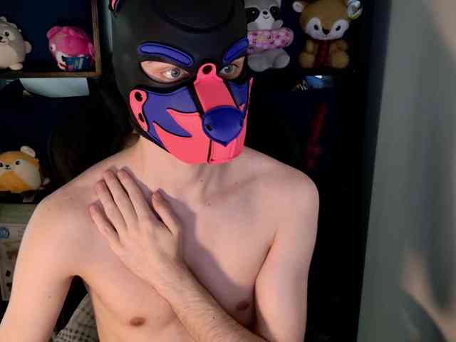 mellpupp Live Webcam on BongaCams