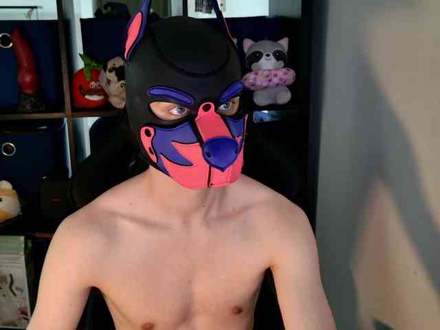 mellpupp