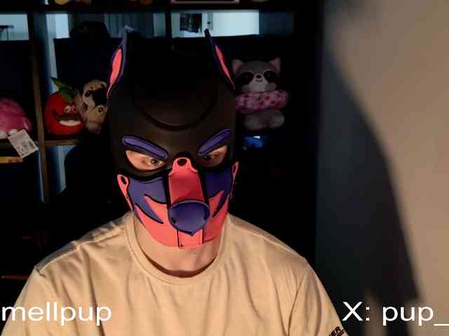 mellpupp