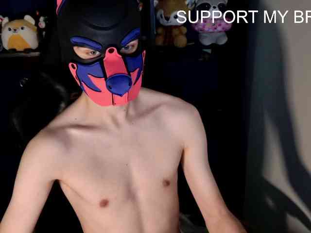 mellpupp