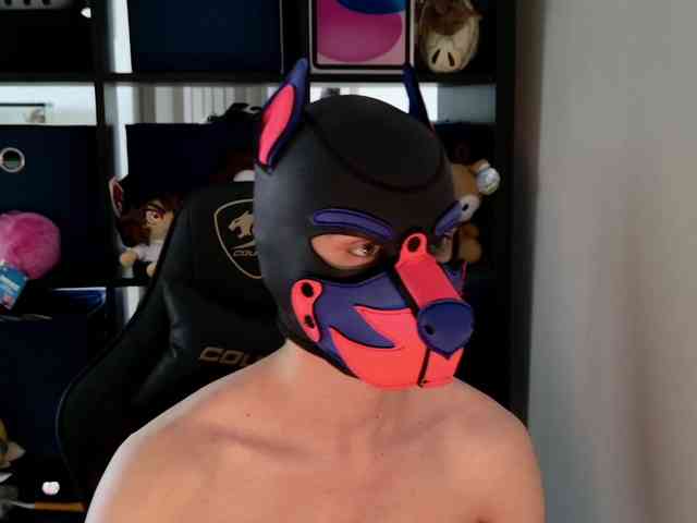 mellpupp