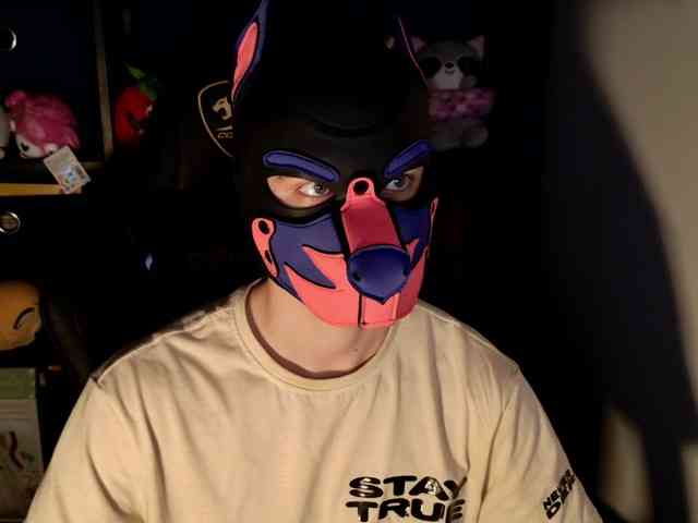 mellpupp