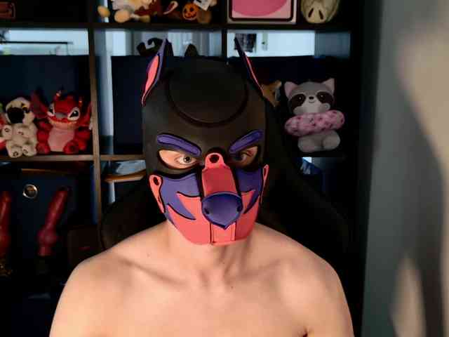 mellpupp