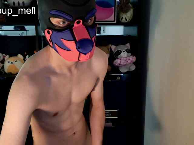 mellpupp Live Webcam on BongaCams