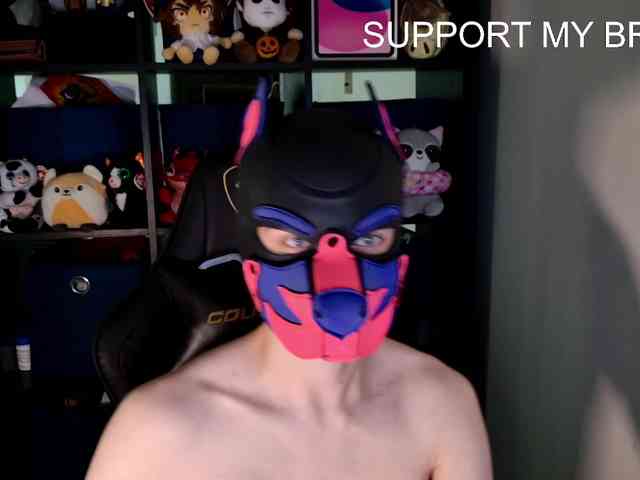 mellpupp