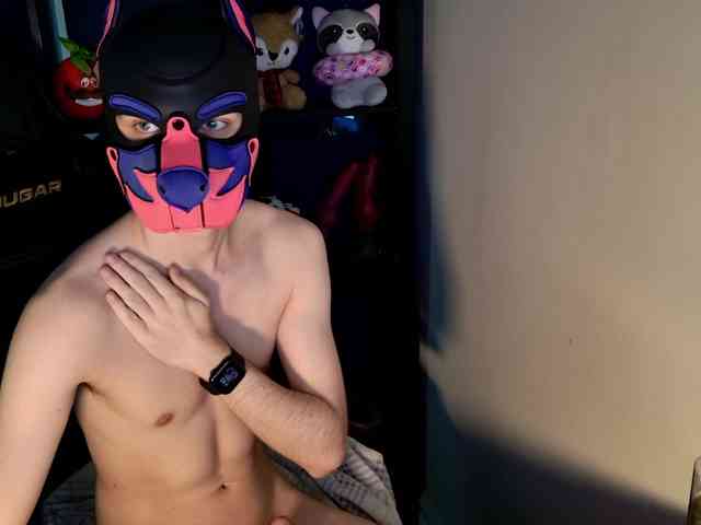 mellpupp