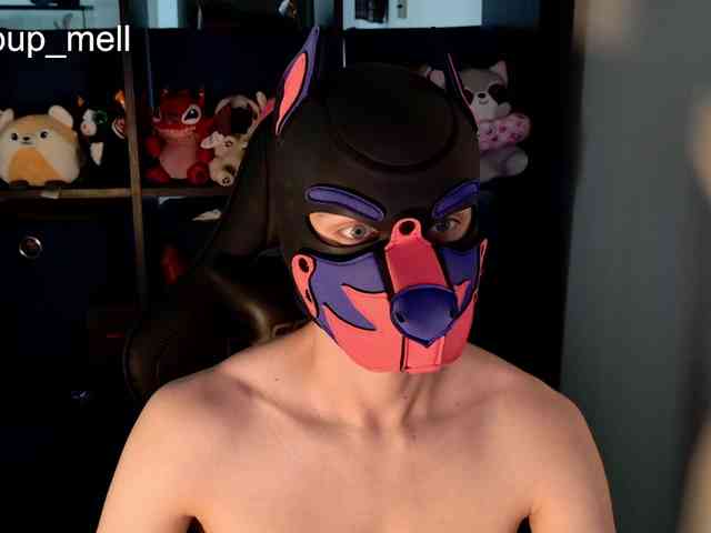 mellpupp