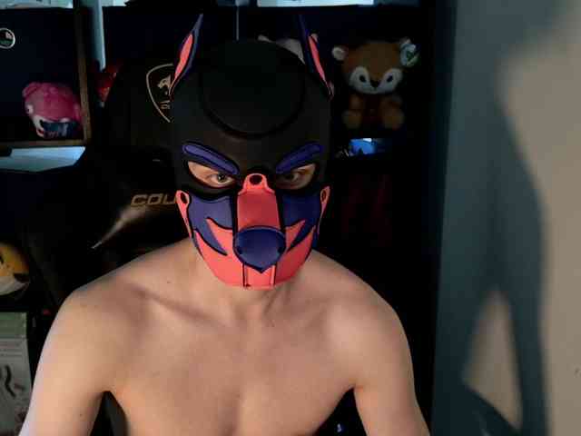 mellpupp