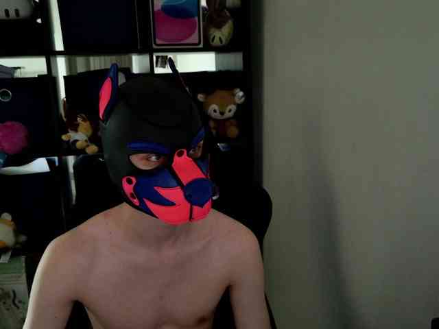 mellpupp