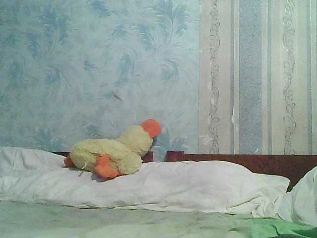 Vitalikvit live webcam show