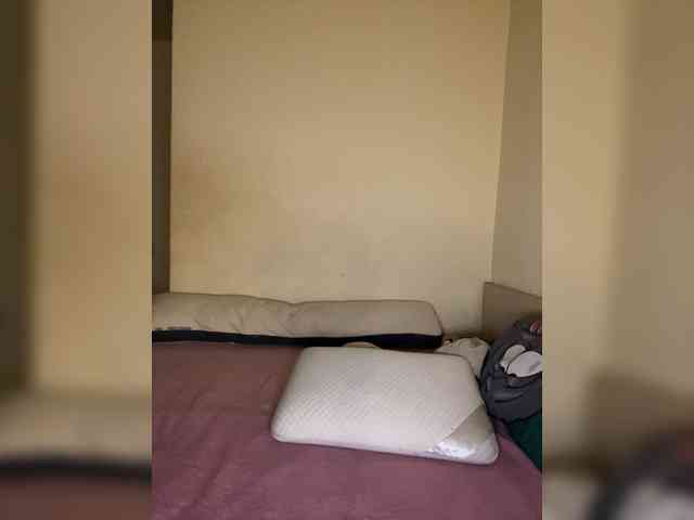 SilverSaya webcam