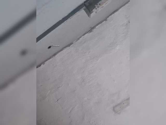 IndianBeaut's BongaCams show and profile