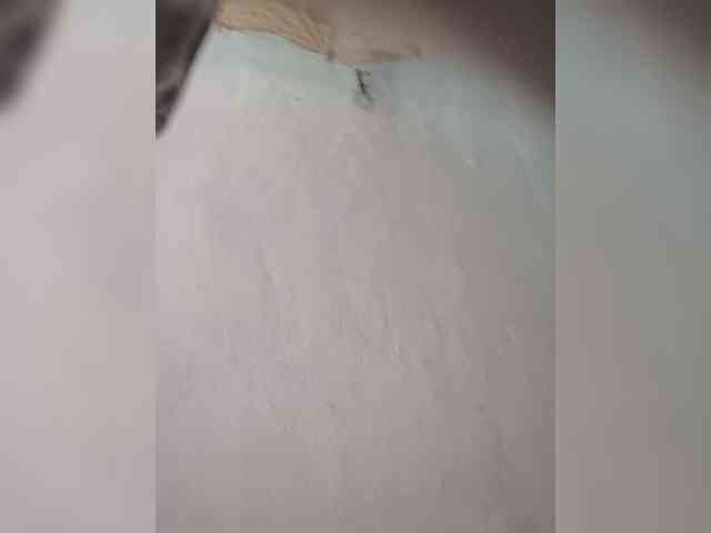 IndianBeaut webcam
