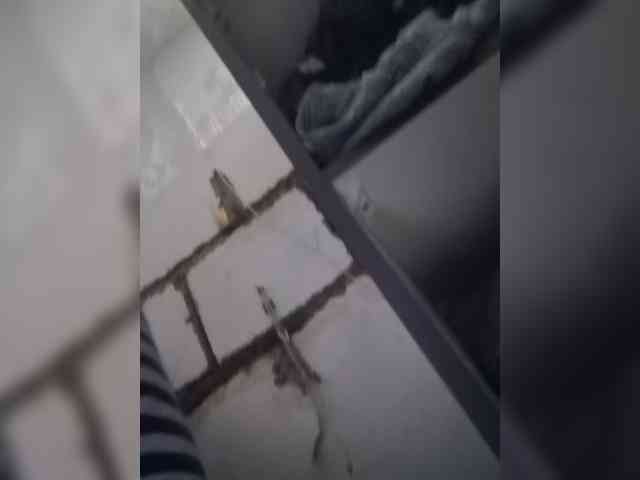 IndianBeaut webcam