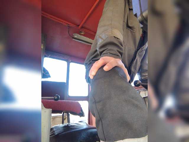 Maybus