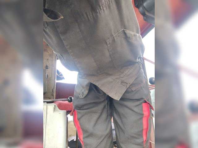 Maybus