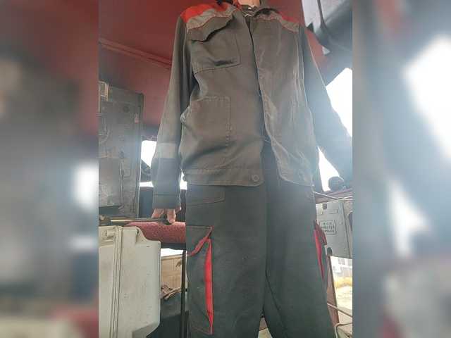 Maybus