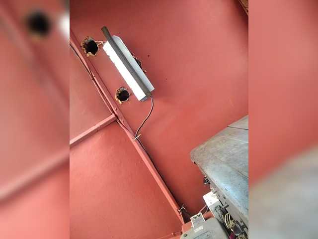 Maybus live webcam show