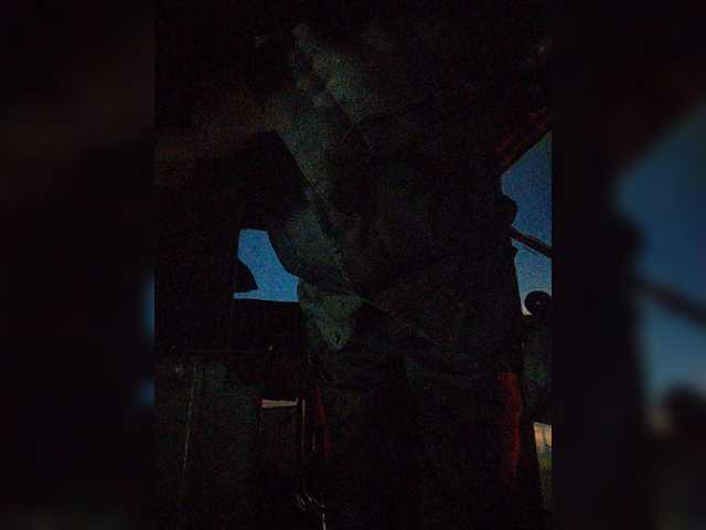 Maybus