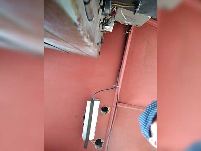 Maybus — live male cam