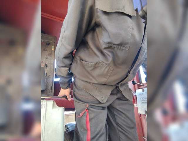 Maybus