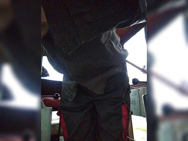 Maybus