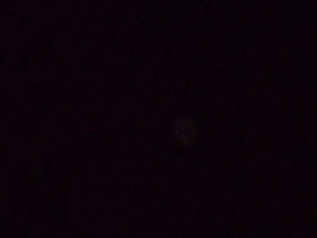Maybus live cam