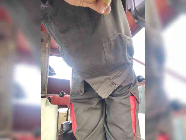 Maybus