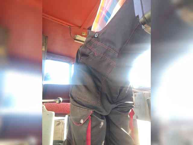 Maybus