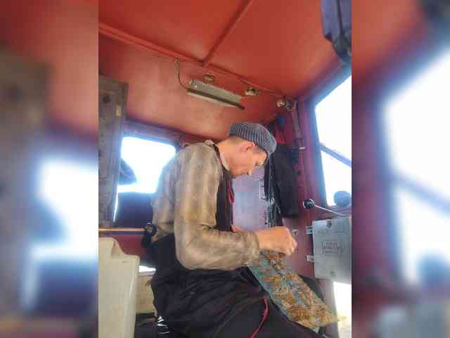 Maybus